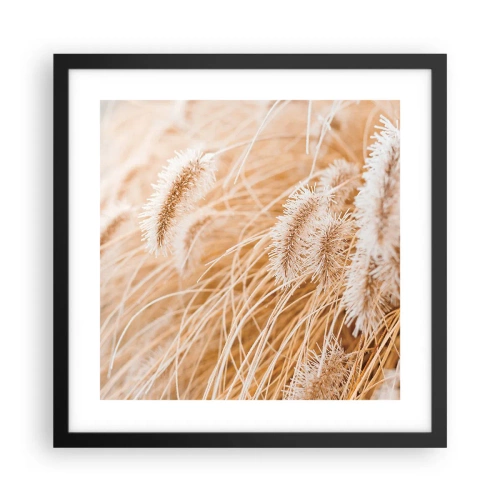 Plakát v černém rámu - Zlaté šustění travin - 40x40 cm