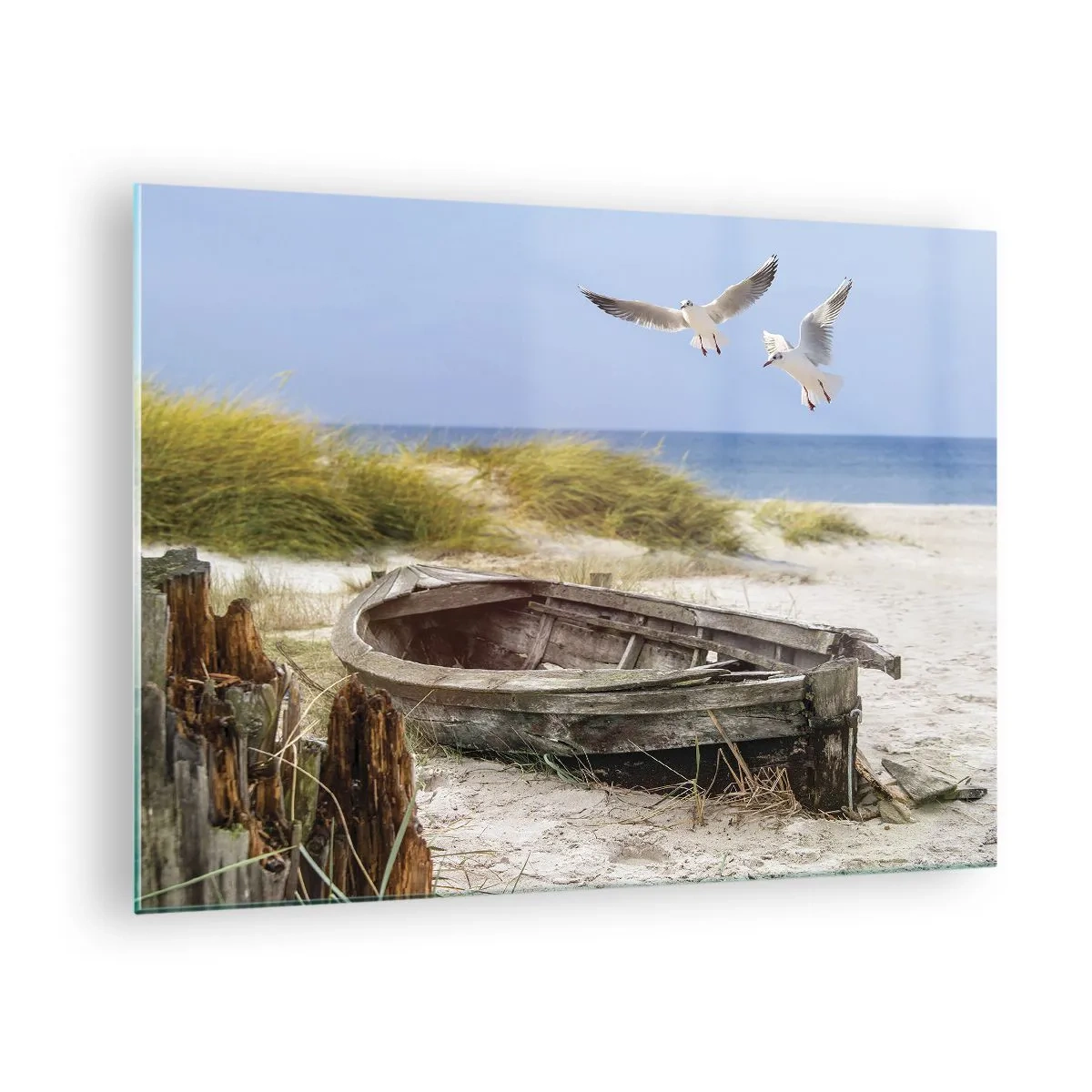Obraz na skle - Dřevěná loď na pláži s racky za letu - 70x50cm - Větrem ozářené - Moderní nástěnná dekorace do obývacího pokoje a ložnice ARTTOR