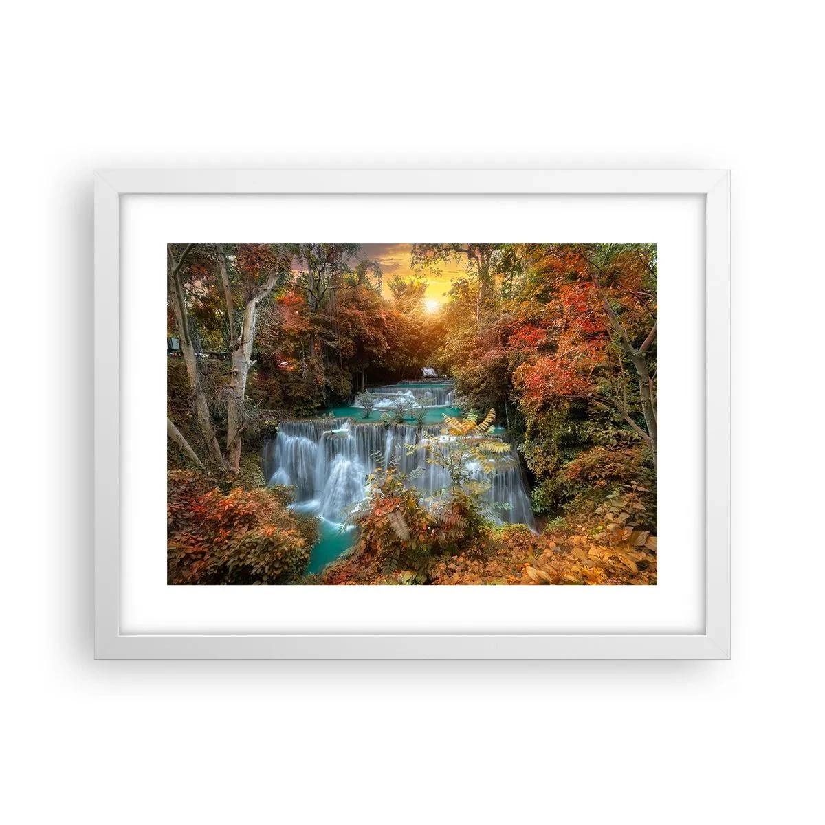 Plakát v bílém rámu - Ukrytý poklad lesa - 40x30 cm