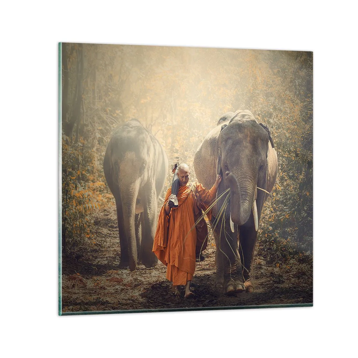 Obraz na skle - Plné pochopení - 60x60 cm