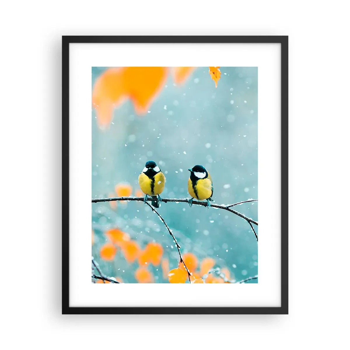 Plakát v černém rámu - Ptačí drby - 40x50 cm