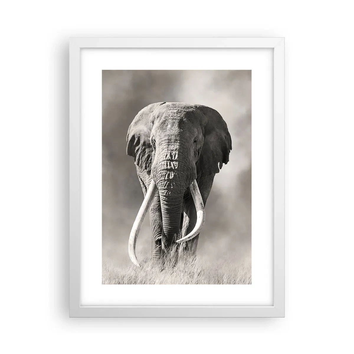 Plakát v bílém rámu - Africký patriarcha - 30x40 cm