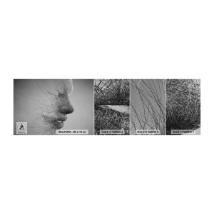 Vzor Fototapety Samolepicí Deluxe Sticker - Duch větru - Abstrakce, ženská tvář, Grafika - 100x30 cm