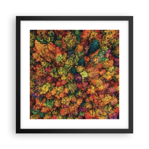 Plakát v černém rámu - Kytice podzimních stromů - 40x40 cm