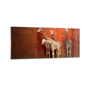 Obraz na skle - Vidíte nějaký akát? - 100x40 cm