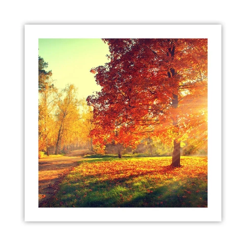 Plakát - Rudé je krásné - 50x50 cm