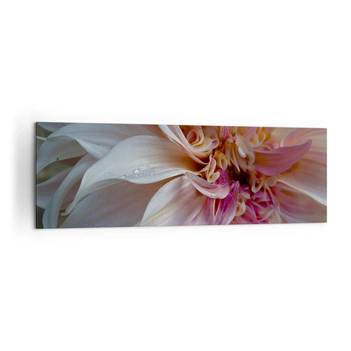 Obraz na plátně - Kvetoucí svěžest - 160x50 cm