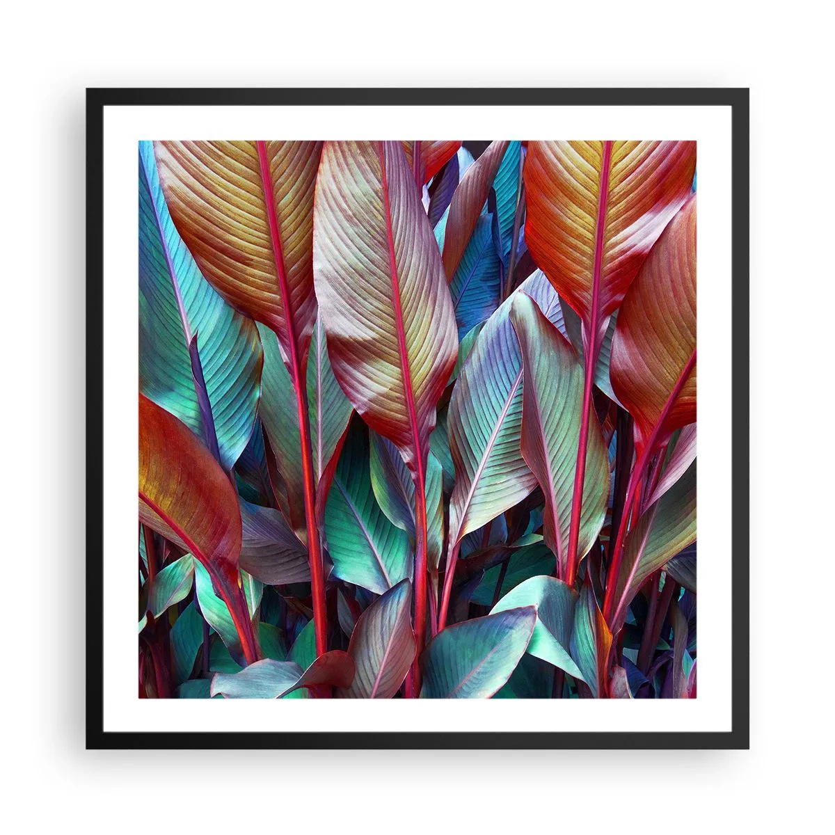 Plakát v černém rámu - Barevná houština - 60x60 cm