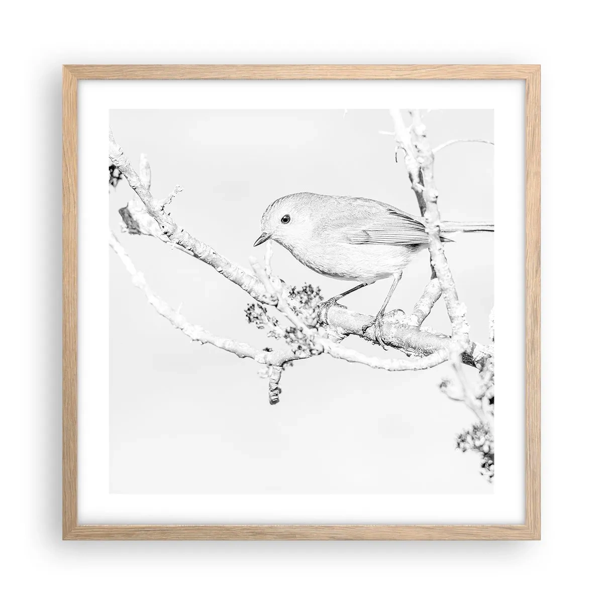 Plakát v rámu světlý dub - Zimní ráno - 50x50 cm