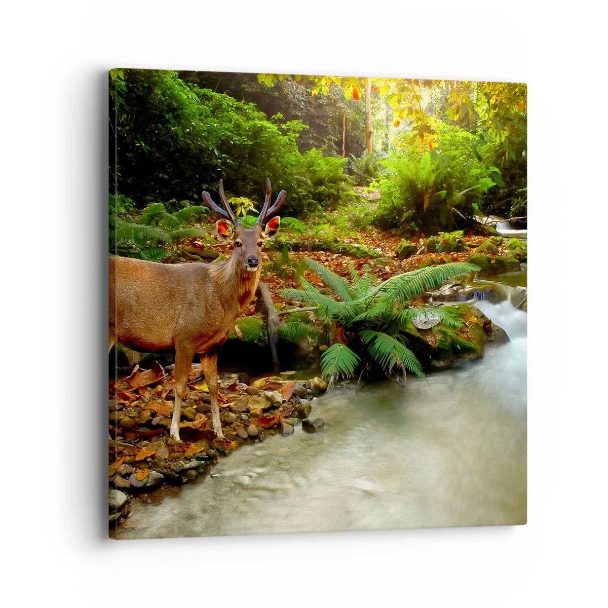 Obraz na plátně - Vítám v mém světě - 40x40 cm