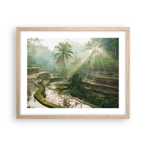 Plakát v rámu světlý dub - Vyrůstát na slunci - 50x40 cm