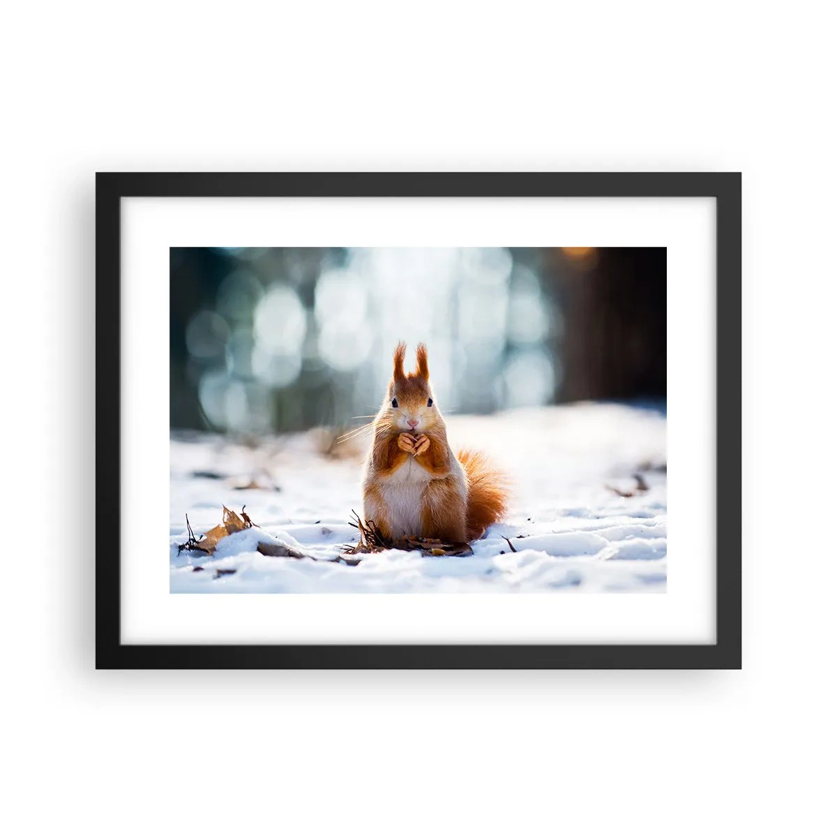 Plakát v černém rámu - Co se tak díváš? - 40x30 cm