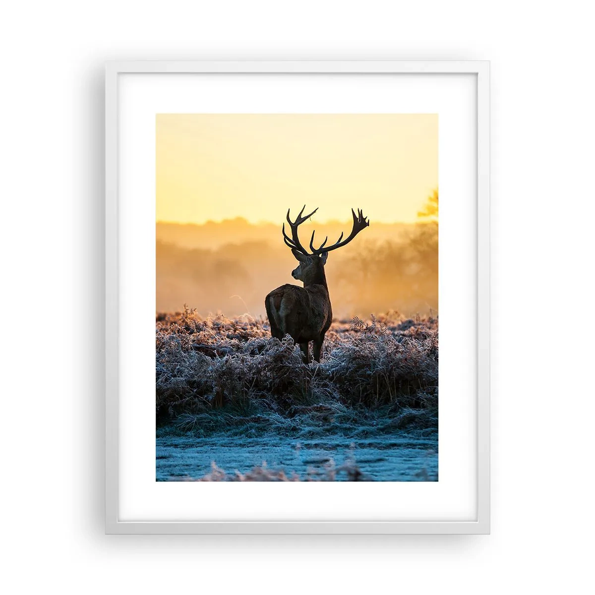 Plakát v bílém rámu - Korunován na svém panství - 40x50 cm