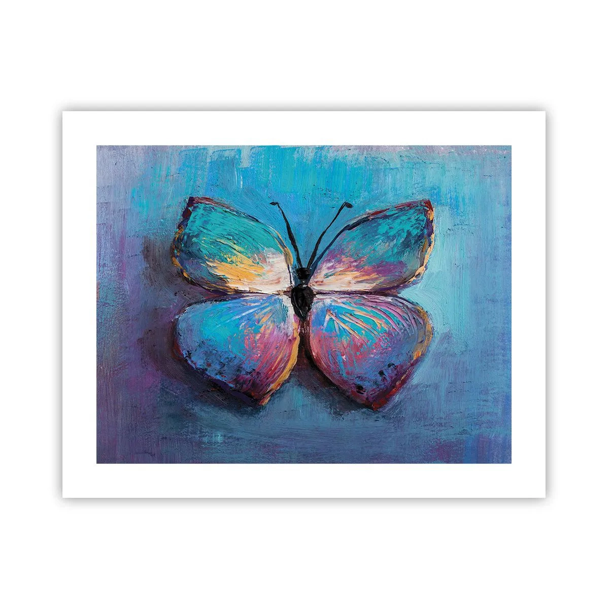 Plakát - V celé své kráse - 50x40 cm