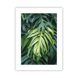 Plakát - Ponořit se do svěžesti - 30x40 cm