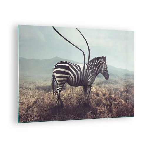 Obraz na skle - Zebra na trávě pozadí s detaily surrealistické antény - 70x50cm - Pozor! Porucha - Moderní nástěnná dekorace do obývacího pokoje a ložnice ARTTOR