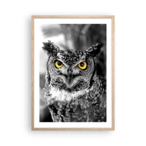 Plakát v rámu světlý dub - Nic se neschová - 50x70 cm