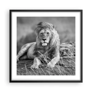 Plakát v černém rámu - Královská siesta - 50x50 cm