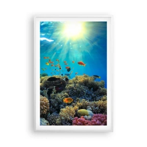 Plakát v bílém rámu - Podvodní poklady - 61x91 cm