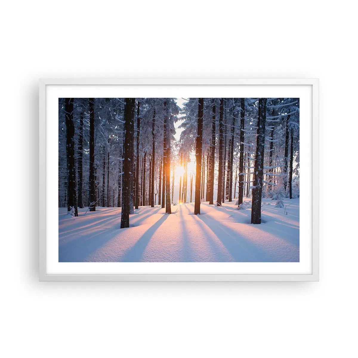 Plakát v bílém rámu - Jasně černé na bílém - 70x50 cm