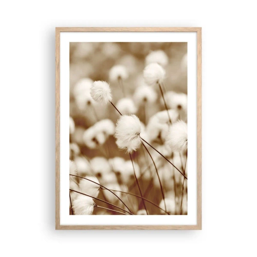 Plakát v rámu světlý dub - Chlupatý lán - 50x70 cm