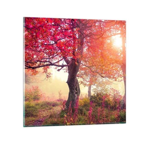 Obraz na skle - Šílenství rozkvětu - 30x30 cm