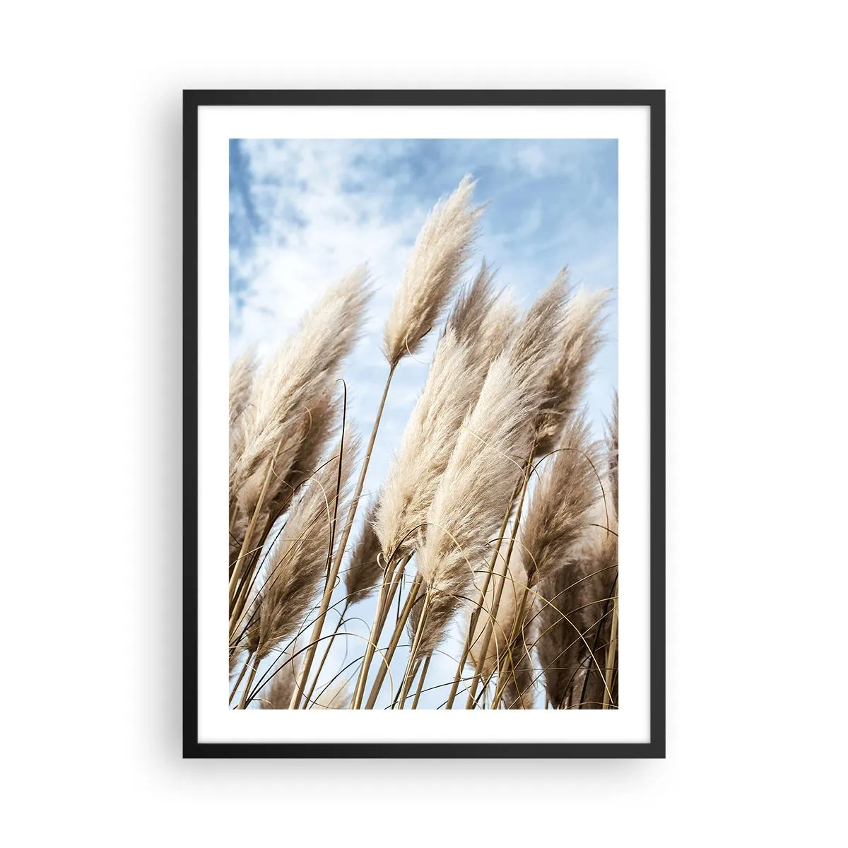 Plakát v černém rámu - Pampská tráva proti obloze - 50x70cm - Slunečné a větrné pohlazení - Moderní nástěnná dekorace do obývacího pokoje a ložnice ARTTOR