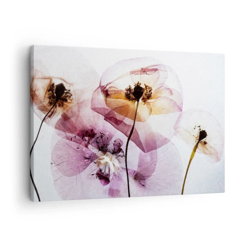 Obraz na plátně - Jemné průhledné květy v pastelových odstínech - 70x50cm - Průhledné těla květin - Moderní nástěnná dekorace do obývacího pokoje a ložnice ARTTOR