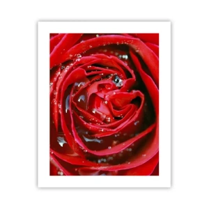 Plakát - V kapkách rosy - 40x50 cm