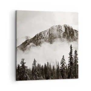 Obraz na plátně - Žulový panovník - 50x50 cm