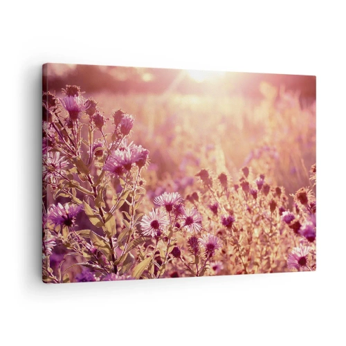 Obraz na plátně - Louka ve světle zapadajícího slunce - 70x50cm - Než skončí léto - Moderní nástěnná dekorace do obývacího pokoje a ložnice ARTTOR