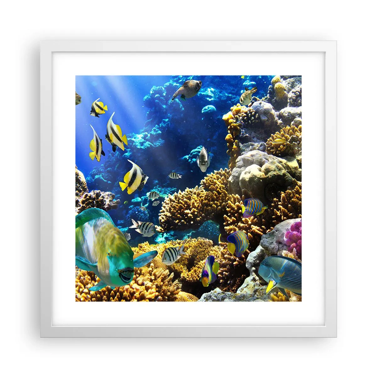 Plakát v bílém rámu - Velký provoz na prázdninové stezce - 40x40 cm