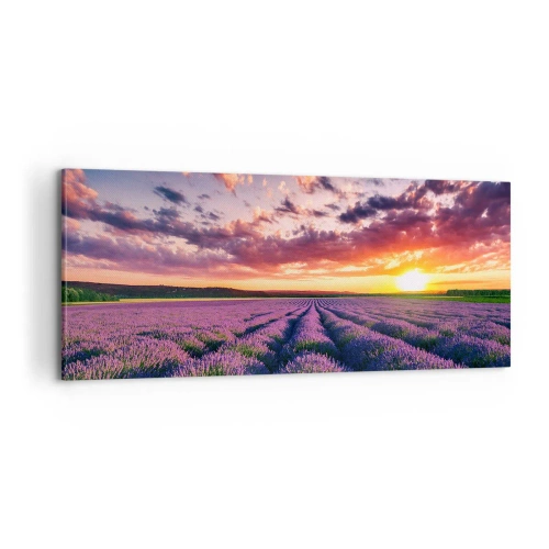 Obraz na plátně - Levandulový svět - 100x40 cm