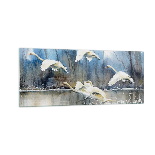 Obraz na skle - Jako v povídce o divokých labutích - 100x40 cm