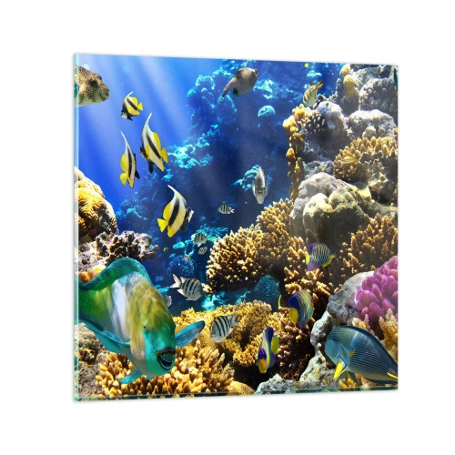 Obraz na skle - Velký provoz na prázdninové stezce - 70x70 cm