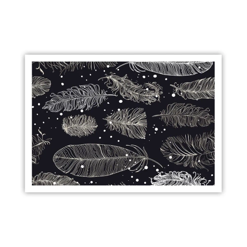 Plakát - Krajka s peřím - 100x70 cm