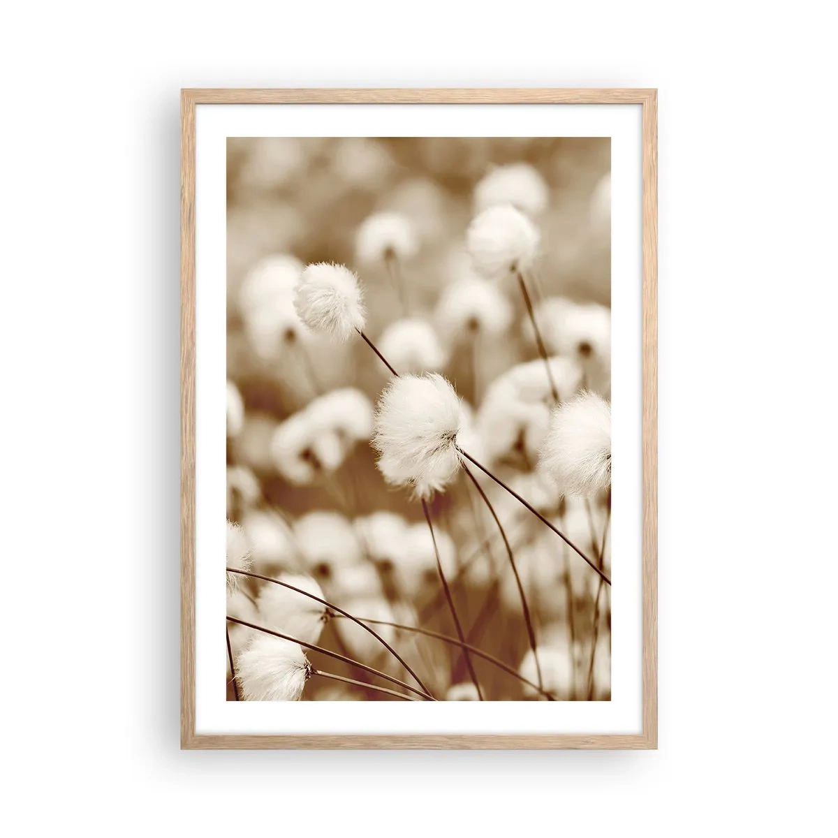 Plakát v rámu světlý dub - Chlupatý lán - 50x70 cm