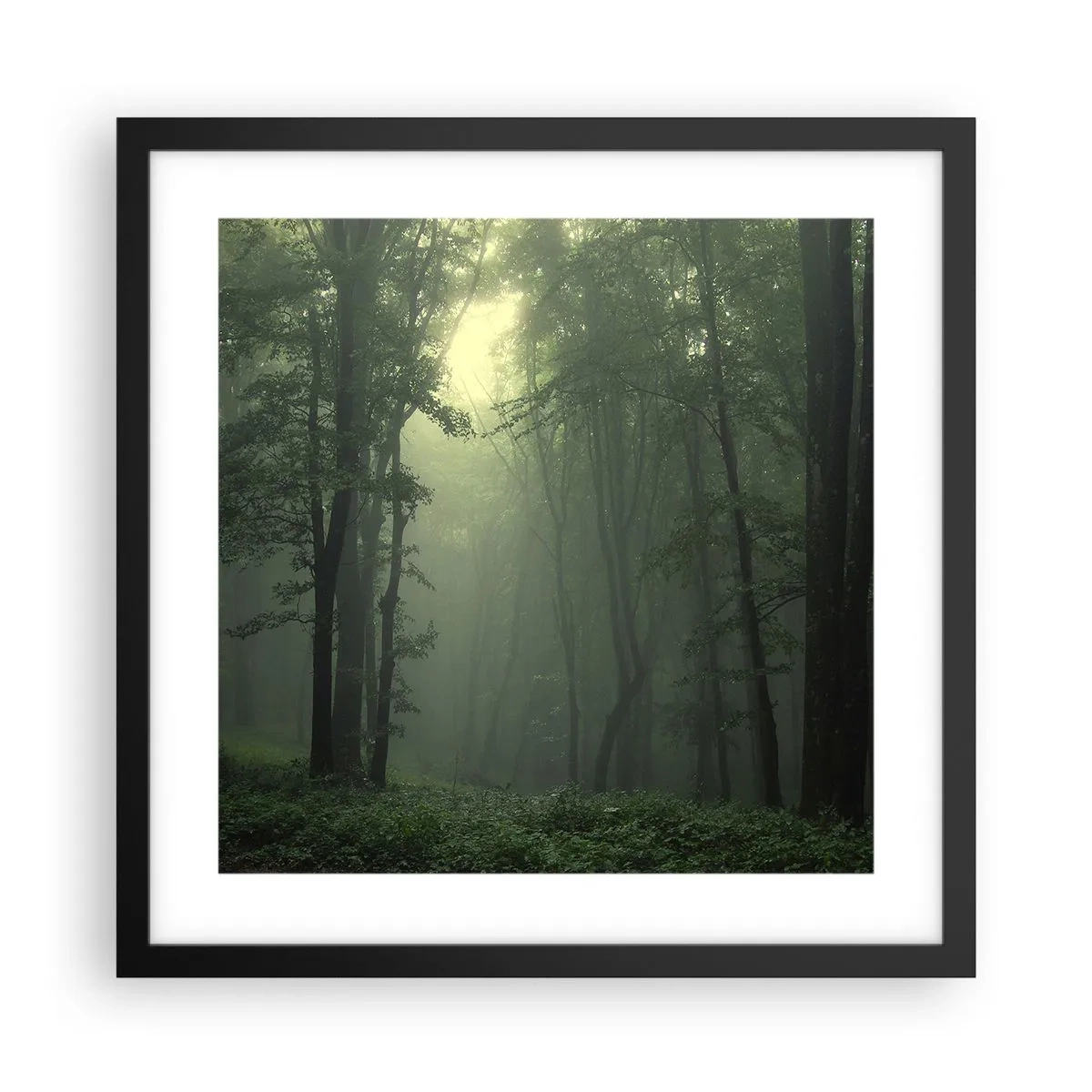 Plakát v černém rámu - Než se probudí - 40x40 cm