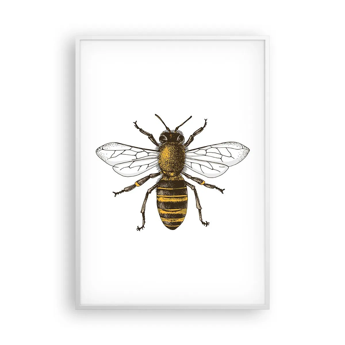 Plakát v bílém rámu - Krásná a dobrá - 70x100 cm