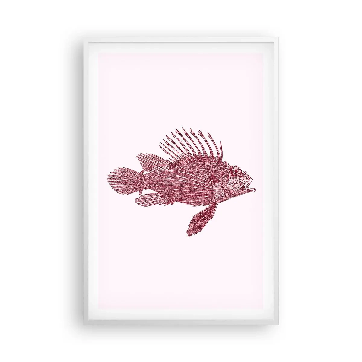 Plakát v bílém rámu - Obyvatelka exotických vod - 61x91 cm
