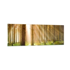 Obraz na skle - Brzy se objeví elfové - 90x30 cm