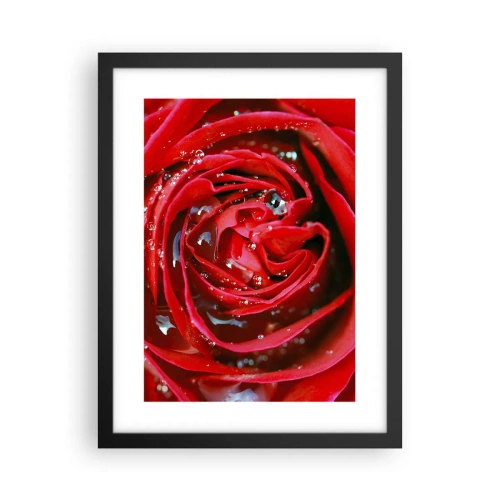 Plakát v černém rámu - V kapkách rosy - 30x40 cm