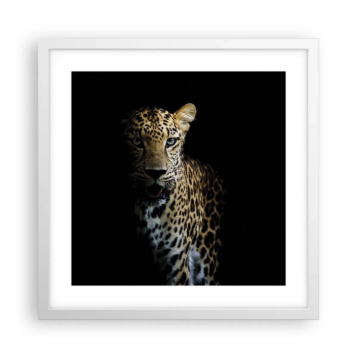 Plakát v bílém rámu - Temná krása - 40x40 cm