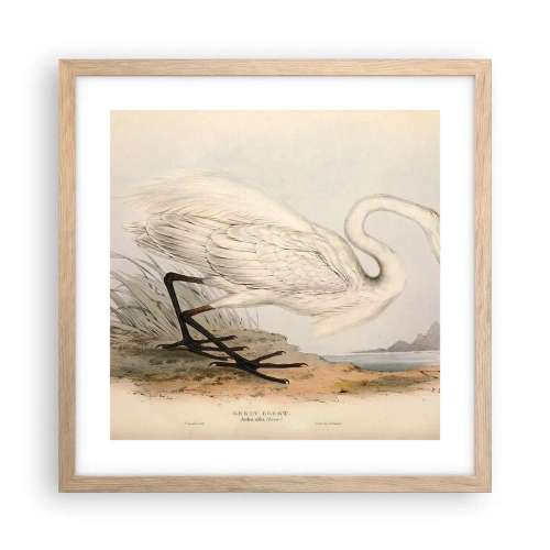 Plakát v rámu světlý dub - Paní rákosin - 40x40 cm