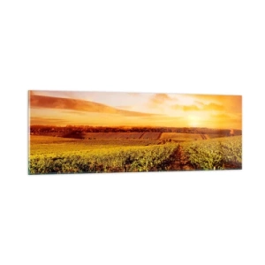 Obraz na skle - Jemně ovocné s tónem slunce - 90x30 cm