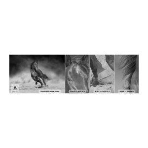 Vzor Fototapety Premium Canvas - Hodné samotného emíra - Kůň, Zvířata, Příroda - 100x30 cm