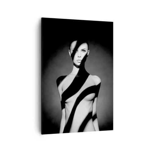Obraz na plátně - V záři i ve stínu - 70x100 cm
