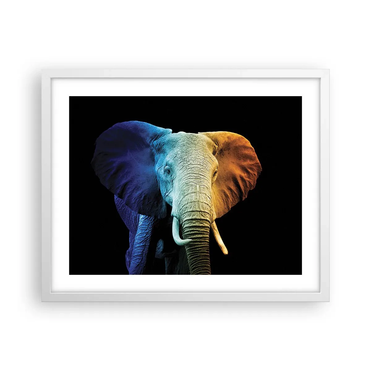 Plakát v bílém rámu - Výstřední muž, ale ne podivín - 50x40 cm