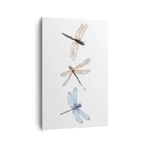 Obraz na plátně - Beztížné vážky - 80x120 cm