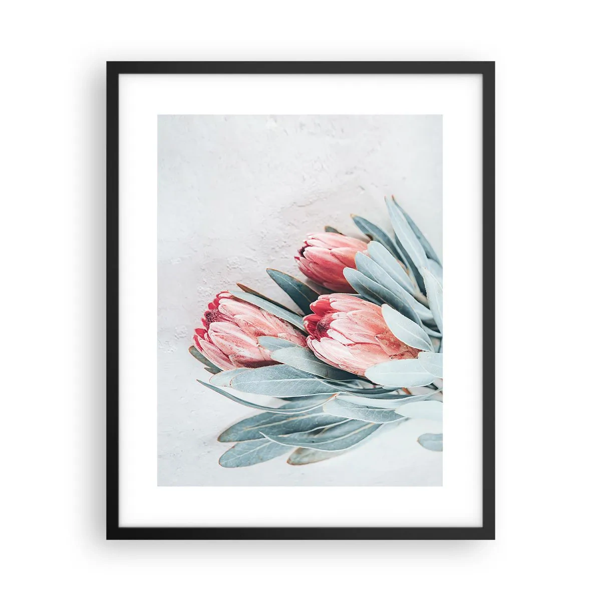 Plakát v černém rámu - Zahanbené svou vlastní krásou - 40x50 cm